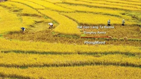 Hotspot Matrix và Người Phụ Nữ 