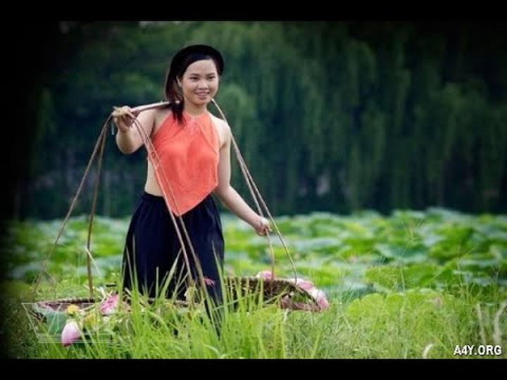 Từ Nhà Sáng Tạo Nhỏ Bé Đến Doanh Nghiệp Lớn Mạnh: Chinh Phục Thị Trường Video Ngắn Cùng Hotspot Matrix