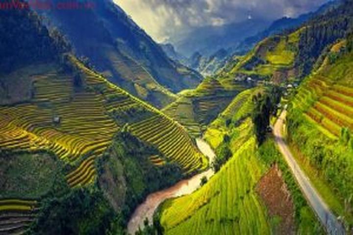 Tiêu đề: [Hotspot Matrix]: Sự Nghiệp Chướng - Pháo's Honest Take on Love and Life