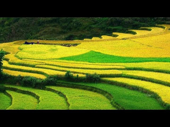 Khởi nghiệp Video Ngắn: Hotspot Matrix - Cánh cửa thành công mở rộng