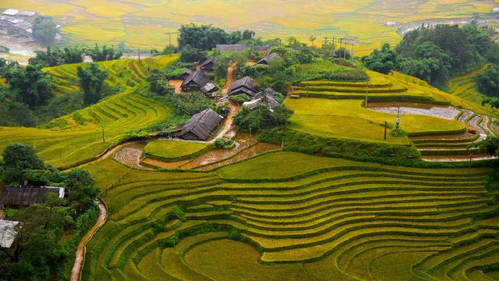 Xu hướng Chiếc quần