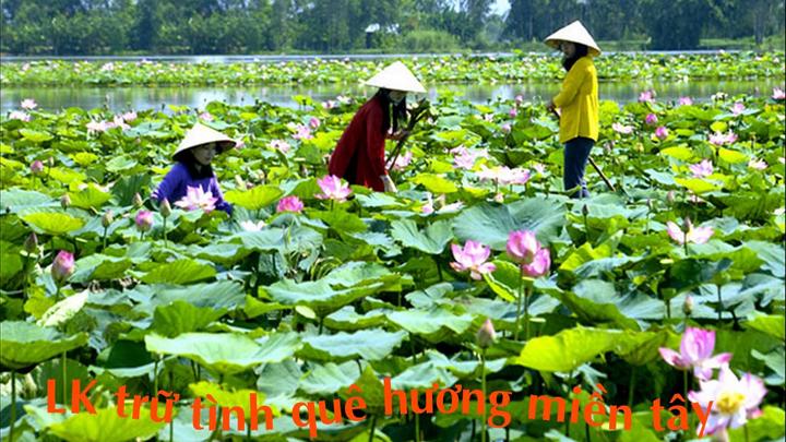 Hotspot Matrix: Biến Phương Mỹ Chi dạo này: Nhan thành cơ hội marketing đột phá