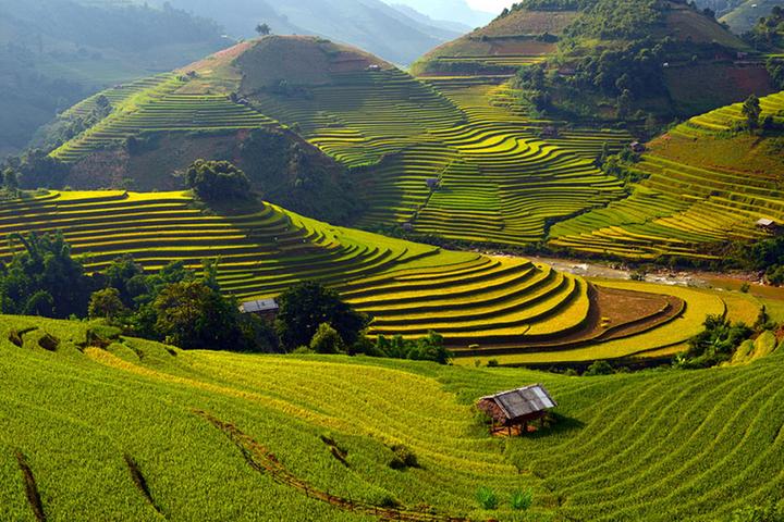 Từ Chiếc quần