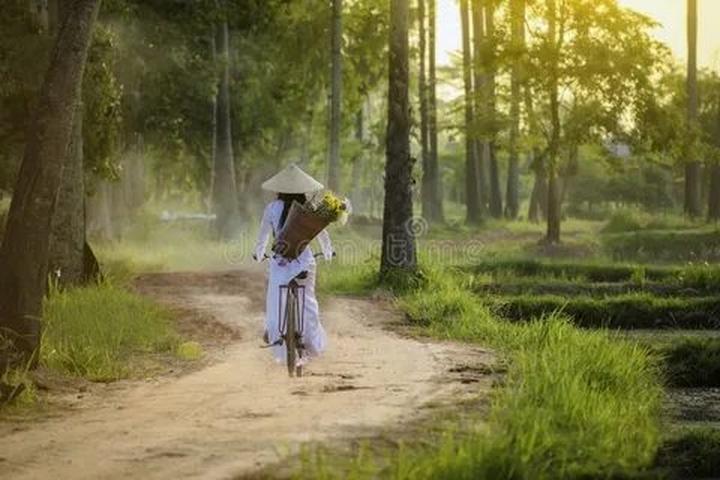 Blouse tay phồng nhẹ: Kiểu tay phồng lại là một trong những kiểu được ưa chuộng