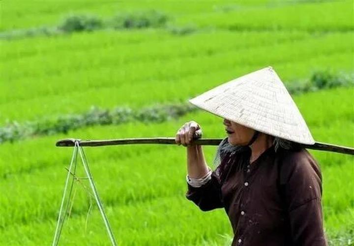 Xu hướng HOT: Camera siêu zoom “bóc”: Hotspot Matrix tiết lộ bí quyết video viral